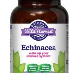 Echinacea 90CT