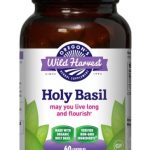 Holy Basil 60ct