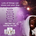 Vital Planet Calm Soft Chew 45 Count - Image 2