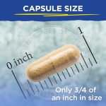 Vital Planet Critical Liver Care: Daily Support 90 Capsules - Image 6