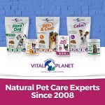 Vital Planet Daily Detox Chewable Tablet 60 Count - Image 2
