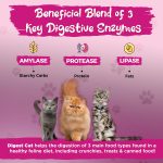 Vital Planet Digest Cat Powder 75 g - Image 3