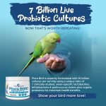 Vital Planet Flora Bird Probiotic 30 g - Image 2