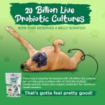 Vital Planet Flora Dog Probiotic Soft Chew 30 Count - Image 3