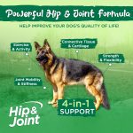 Vital Planet Hip & Joint Chewable Tablet 60 Count - Image 3