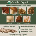 Vital Planet Organic Flora Mens Daily Probiotic Supplement 30 Capsules - Image 4