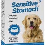 Vital Planet Sensitive Stomach Chewable Tablet 60 Count