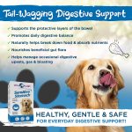 Vital Planet Sensitive Stomach Chewable Tablet 60 Count - Image 2