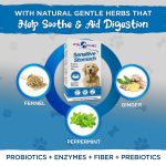 Vital Planet Sensitive Stomach Chewable Tablet 60 Count - Image 3