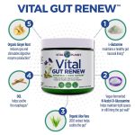 Vital Planet Vital Gut Renew 195 g - Image 3